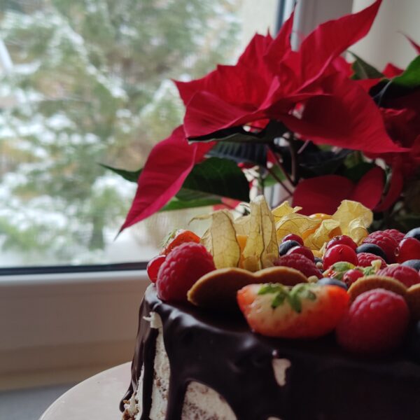 Jõulune pohlatort biskviidi ja toorjuustukreemiga