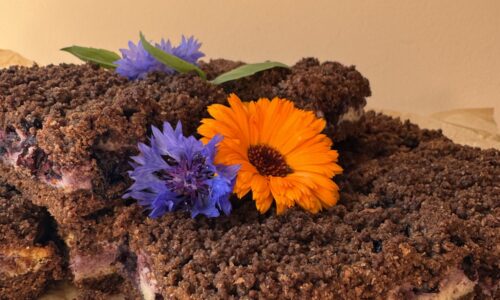 Rukkijahu-mustsõstra purukook