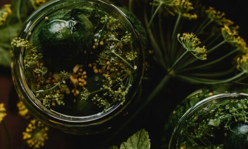 Marineeritud kurgid (hoidis)