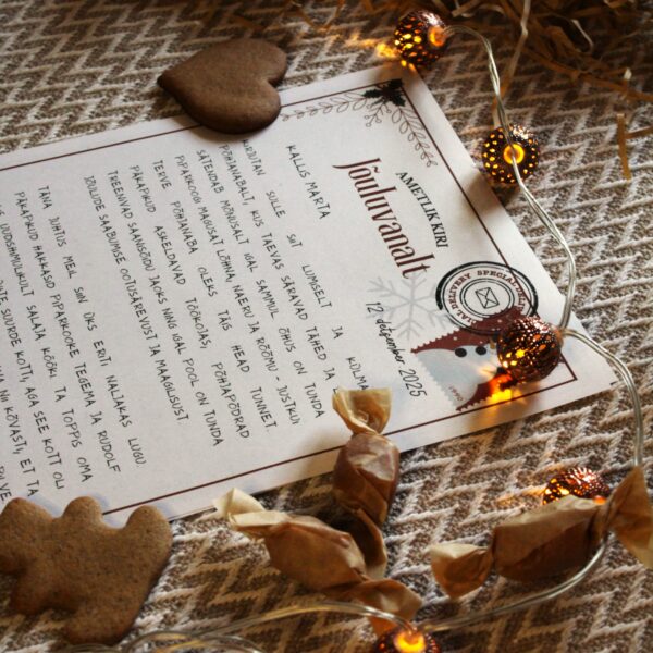 Jõuluvana maagiline pakk (lapsele)